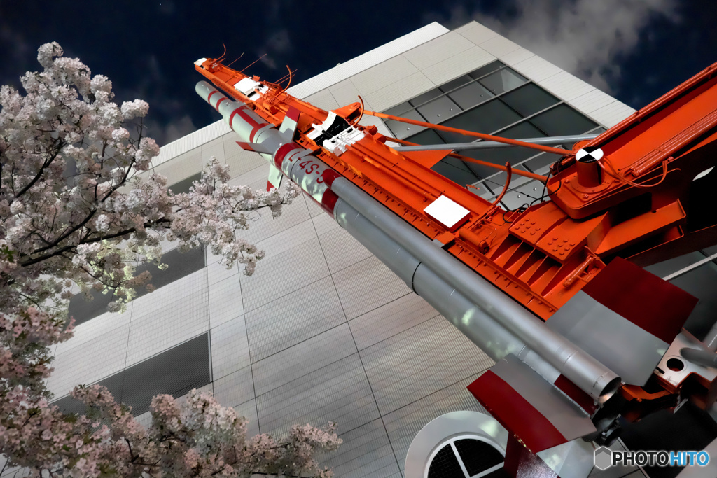 花届かぬ先まで