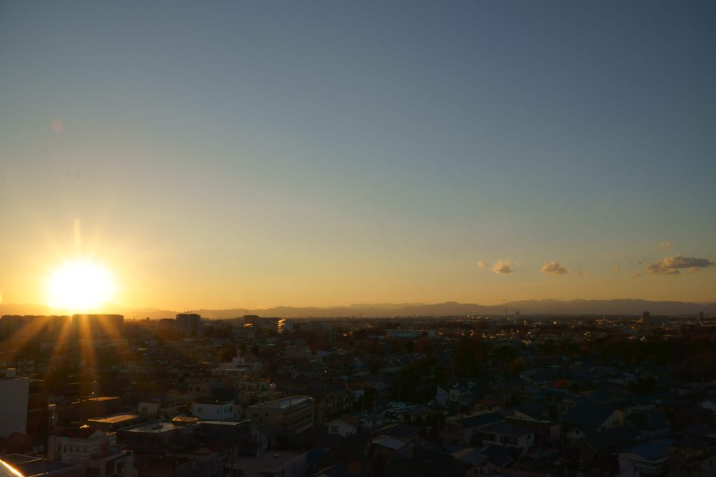 望年