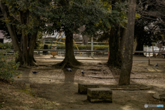 気にしない。気にしない。