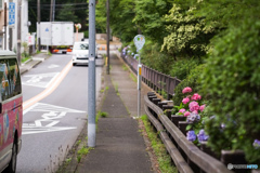 路を見るのが楽しくて