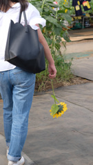 おもいでのひまわり