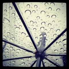 雨