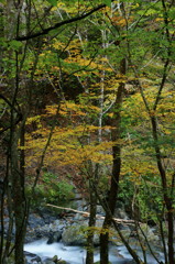 秋色　大血川渓谷