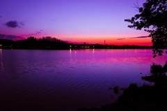 伊佐沼の春　夕景