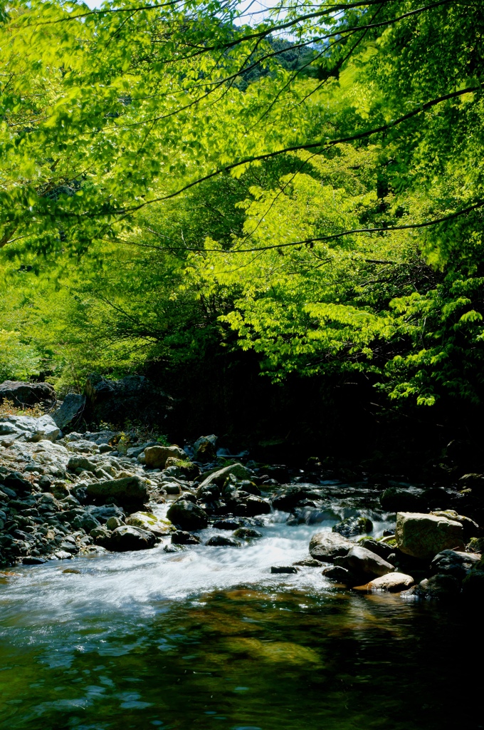 奥秩父　浦山渓谷　１