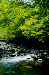 奥秩父　浦山渓谷　１