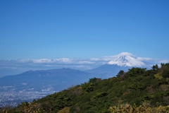 伊豆スカイラインからの富士山