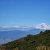 伊豆スカイラインからの富士山