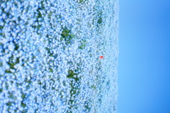DSC00664
