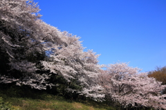 小牧山