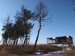 宮城県名取市閖上