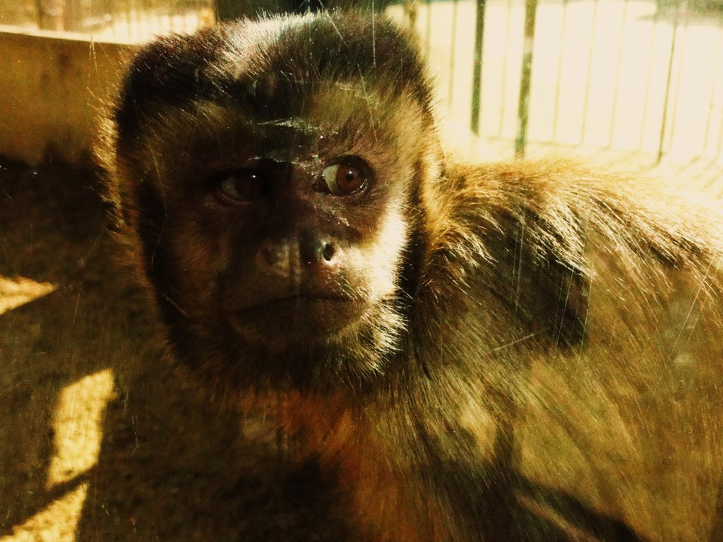 DSC02719