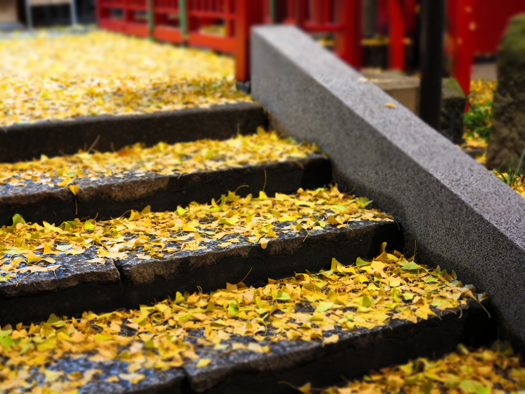 鴻神社⑰ギャラリー