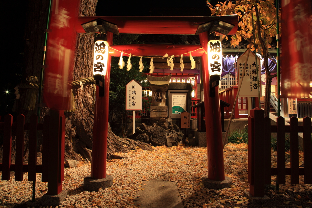 鴻神社③ギャラリー