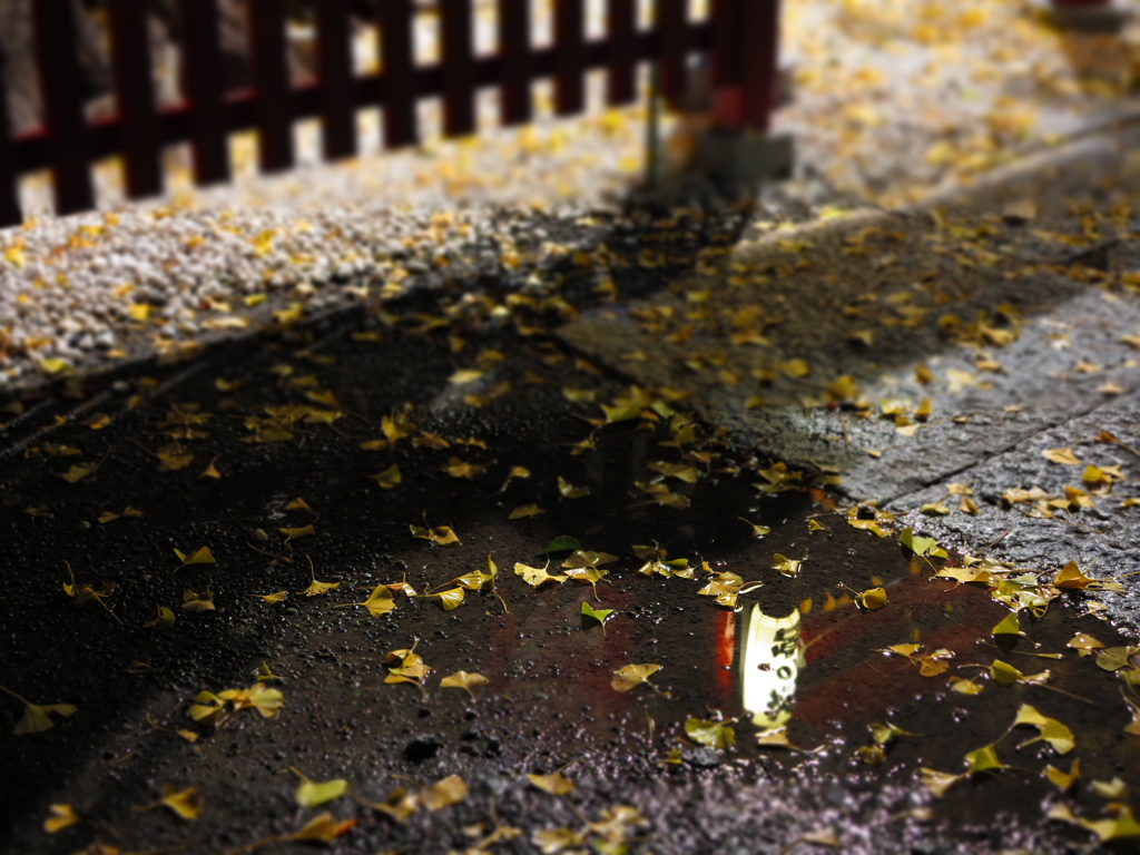 鴻神社⑭ギャラリー