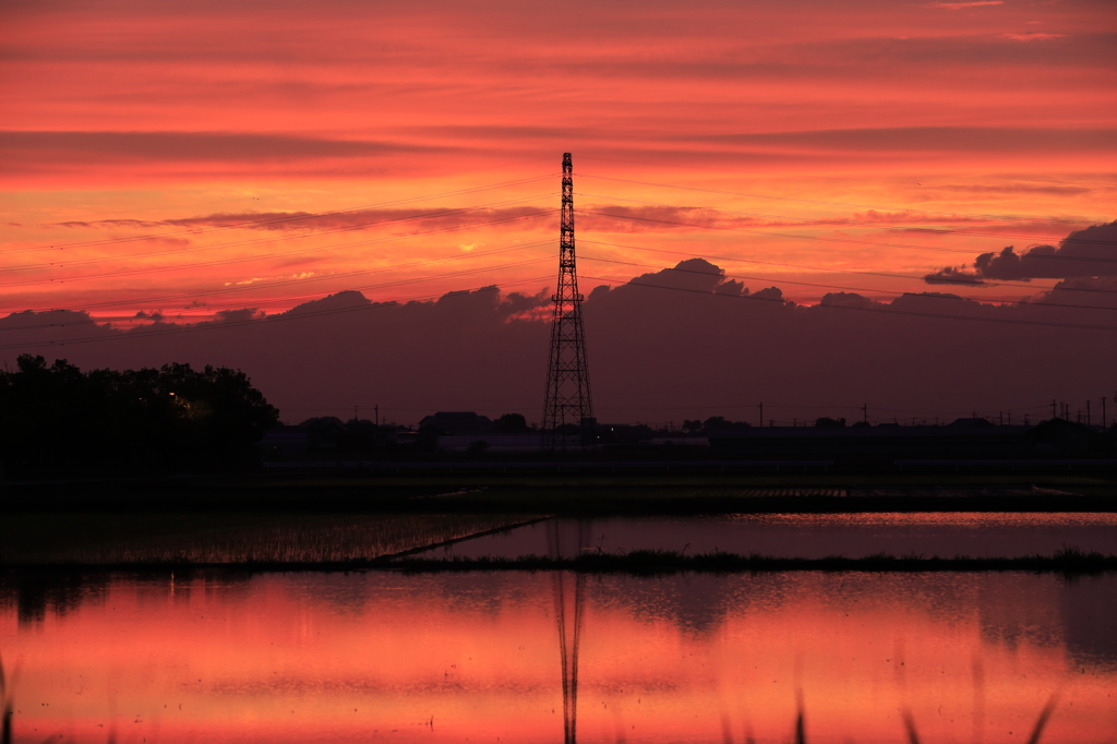 夕焼けにシビレル