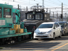 シーラカンスが住む街③