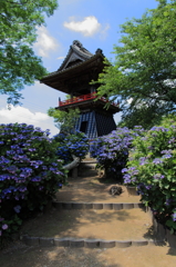 あじさい寺の鐘楼の鐘