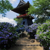あじさい寺の鐘楼の鐘