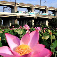 出会い橋の恋Ⅲ