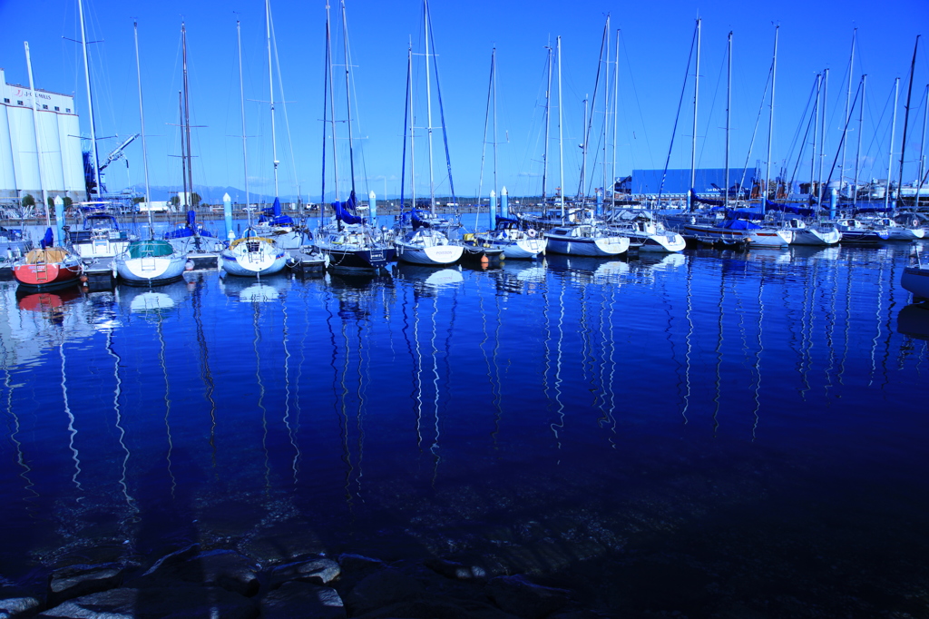 小春日和のヨットハーバー