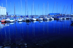 小春日和のヨットハーバー
