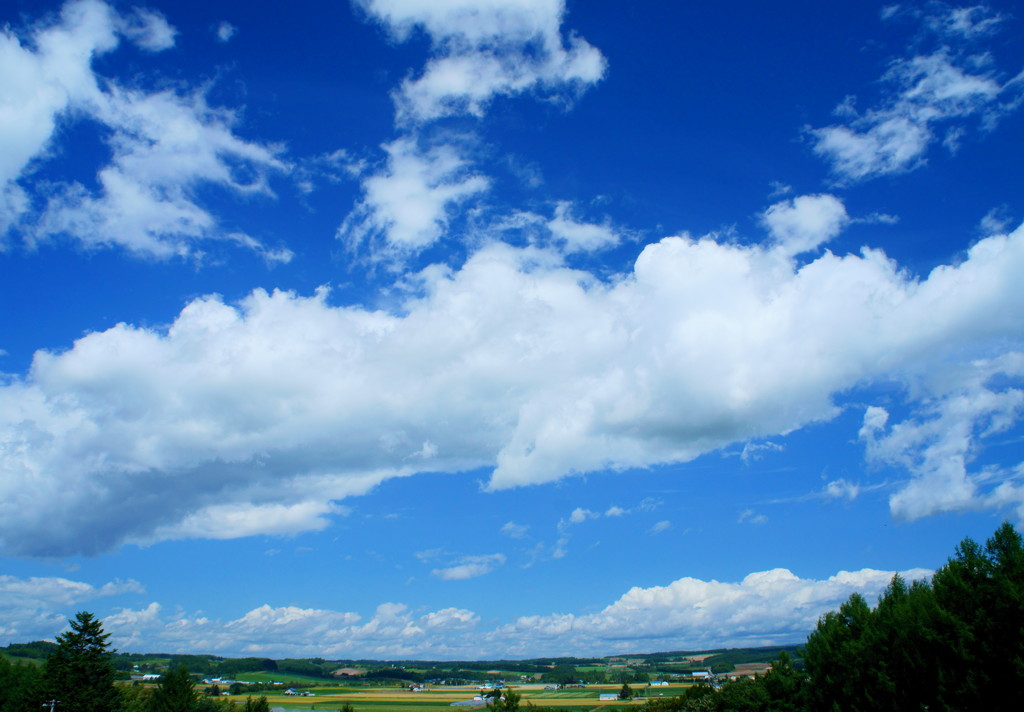 夏空