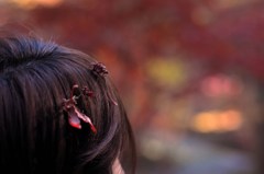 紅葉見に行こうよう