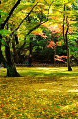 兼六園1