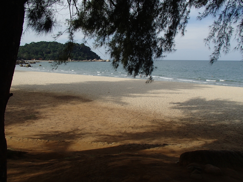 砂浜