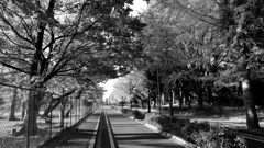青葉台公園