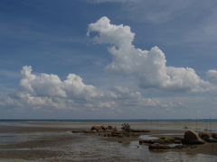 夏の雲