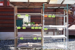 無人野菜店（野菜無人販売所？）