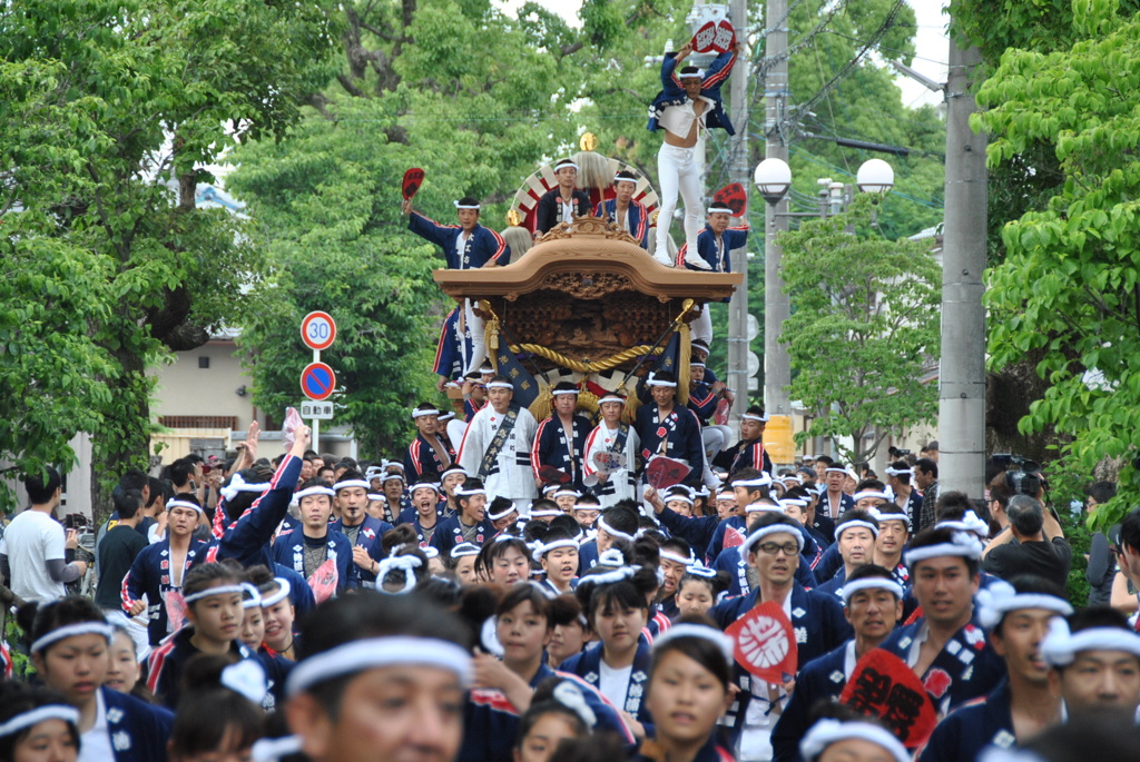 和泉国二宮　穴師神社の参道を曳き抜く