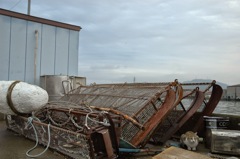 漁港の猫(晩飯まだかニャ)