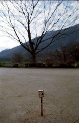 美馬町　河川敷にて