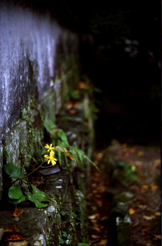山手町