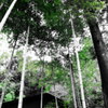 徳島市　瑞巌寺