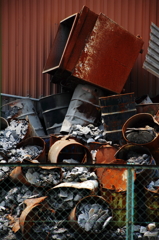 〝みどりの日〟には似つかわしい写真