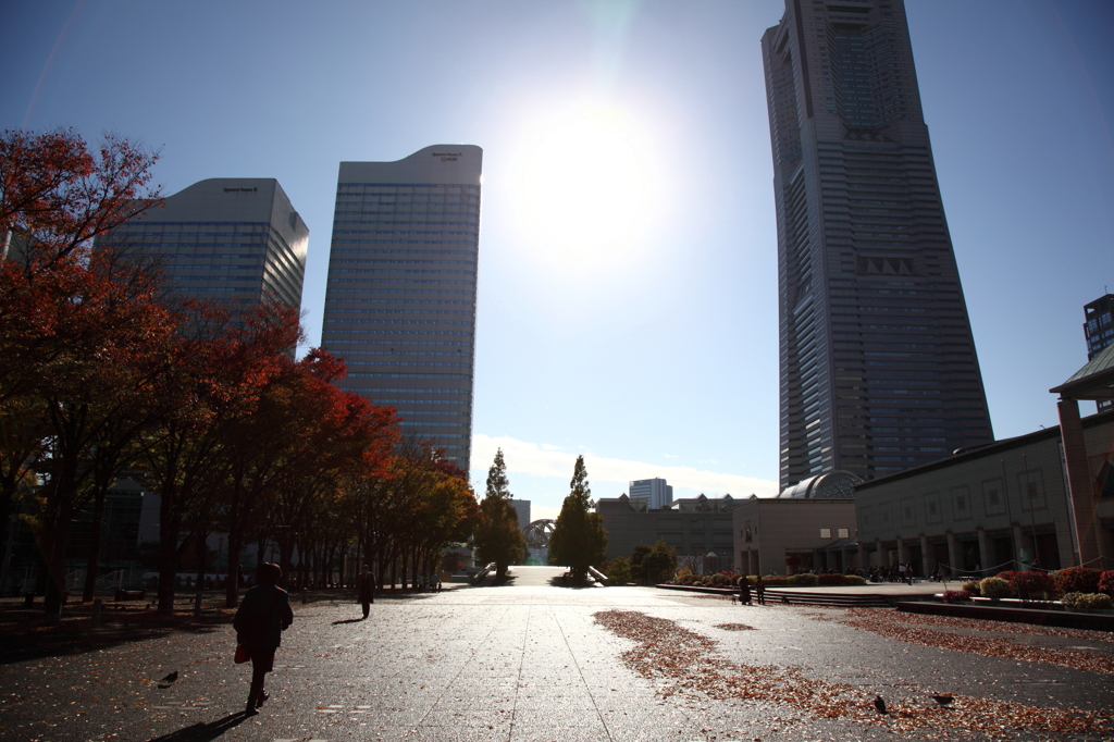 Autumn in Minatomirai