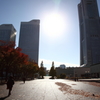 Autumn in Minatomirai