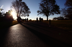 根岸森林公園