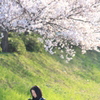 桜を撮る美女