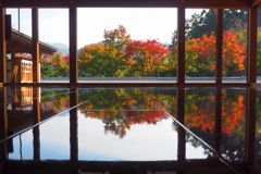 床紅葉