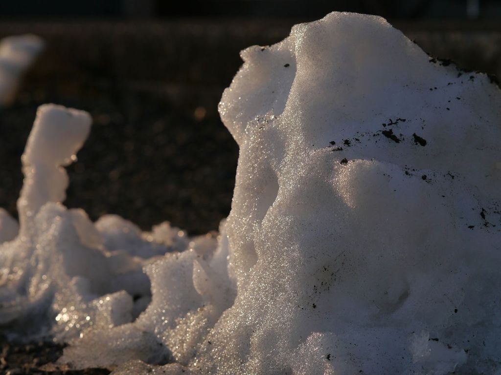 白雪姫の祈り