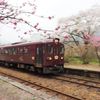わ鉄　花桃