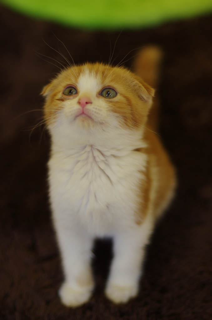 視線