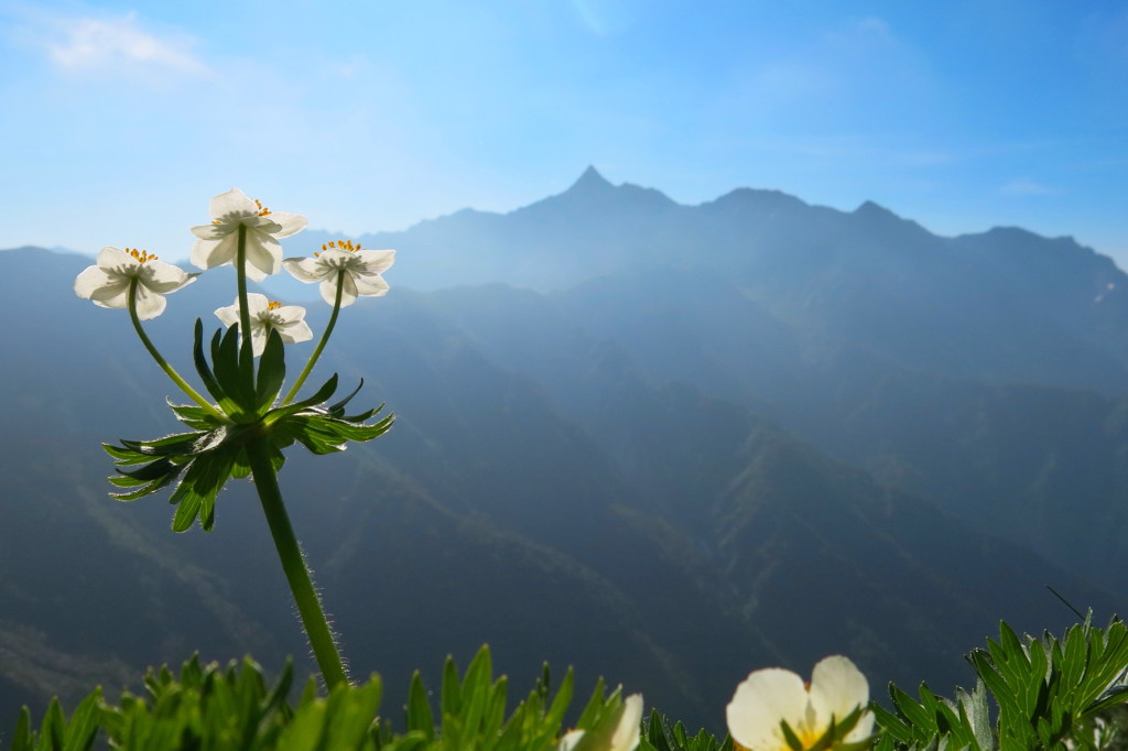 あの山に行ってみたいな～