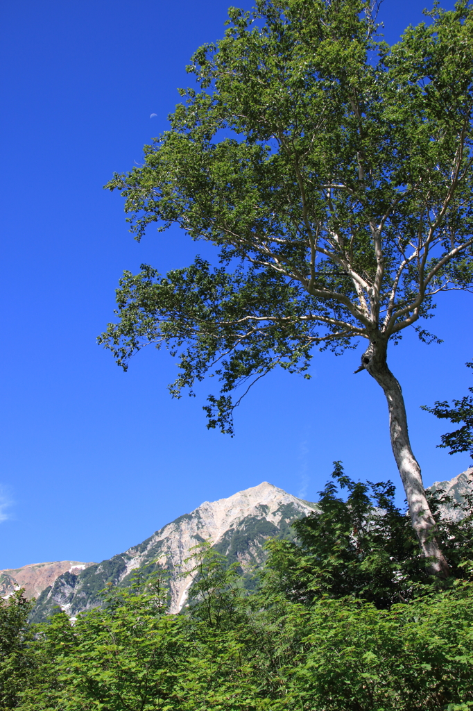 白馬鑓ヶ岳