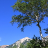 白馬鑓ヶ岳